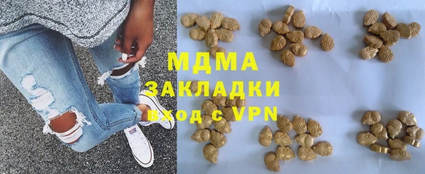 индика Алексин