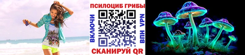 Галлюциногенные грибы мицелий  Купить  Буйнакск 