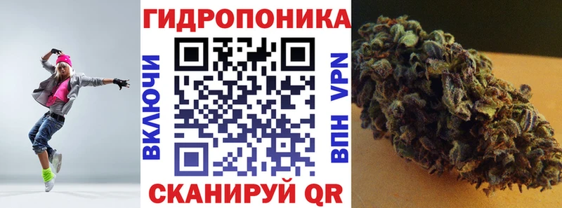 Конопля тримм  Купить закладки  Буйнакск 